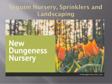 Visit Best Nursery in Sequim