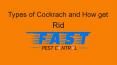Types of Cockrach and How Get Rid PowerPoint PPT Presentation