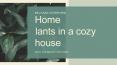Home plants in a cozy house PowerPoint PPT Presentation