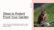 Steps to Rodent Proof Your Garden