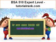 BSA 510 Expert Level  - tutorialrank.com