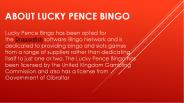 Lucky Pence Bingo | New Dragonfish Bingo Site to Play
