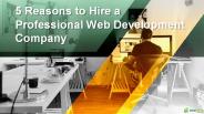 5 Reasons to Hire a Professional Web Development Company