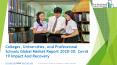Colleges, Universities, And Professional Schools Market 2020: Global Growth, Trends And Forecast PowerPoint PPT Presentation
