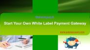 Start Your Own White Label Payment Gateway