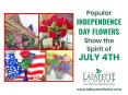4th of July Flower Delivery in Lafayette CO PowerPoint PPT Presentation