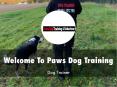 Paws Dog Training Presentation PowerPoint PPT Presentation