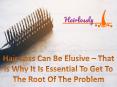Hair Loss Can Be Elusive – That is Why It Is Essential To Get To The Root Of The Problem PowerPoint PPT Presentation
