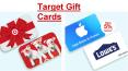 Check Target Visa Gift Card Balance | Target Visa Prepaid Card Balance PowerPoint PPT Presentation