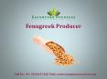 Fenugreek Producer PowerPoint PPT Presentation