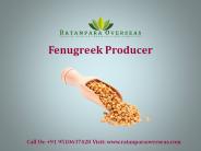 Fenugreek Producer