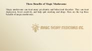 Three Benefits of Magic Mushrooms