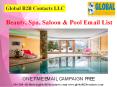 Beauty, Spa, Saloon & Pool Email List PowerPoint PPT Presentation