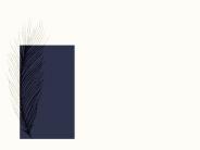Lawyers and Law Firms in Dubai