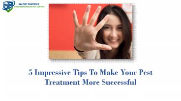 5 Impressive Tips To Make Your Pest Treatment More Successful