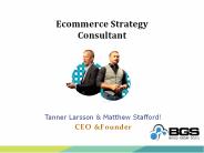 Ecommerce Strategy Consultant