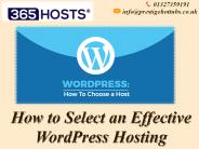 Select One of The Most Effective Wordpress Hosting Suppliers