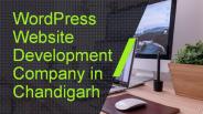 WordPress Website Development Company in Chandigarh