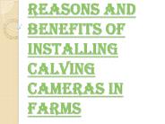 Importance of Installing Calving Cameras