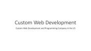 Custom Web Development and Programming Company in the US