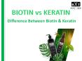 Understand the Differences between Keratin vs Biotin shampoo PowerPoint PPT Presentation