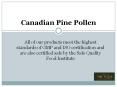 The Health Benefits of Pine Pollen-Canadian Pine Pollen PowerPoint PPT Presentation