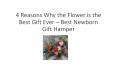 4 Reasons Why the Flower is the Best Gift Ever PowerPoint PPT Presentation