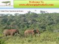 Safari Tour Operators in Kenya PowerPoint PPT Presentation