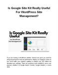 Is Google Site Kit Really Useful For WordPress Site Management? PowerPoint PPT Presentation