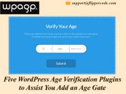 The Signification of WordPress Age Verification