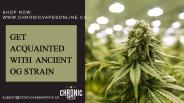 Ancient OG Strain