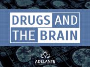Drugs and The Brain