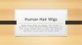 Human Hair Wigs (1)