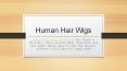 Human Hair Wigs