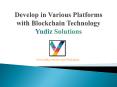 Develop in Various Platform with Blockchain Technology | Yudiz Solutions PowerPoint PPT Presentation