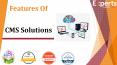 Features Of CMS Solutions PowerPoint PPT Presentation