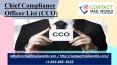 Chief Compliance Officer List (CCO) PowerPoint PPT Presentation