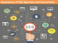 Importance of SEO Agencies and Consultants (1) PowerPoint PPT Presentation