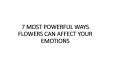 7 MOST POWERFUL WAYS FLOWERS CAN AFFECT YOUR EMOTIONS PowerPoint PPT Presentation