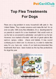 Top Flea Treatments For Dogs