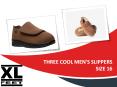 Three Cool Men's Slippers Size 16 PowerPoint PPT Presentation