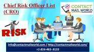 Chief Risk Officer List (CRO)