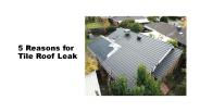 5 Reasons for Tile Roof Leak