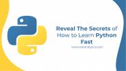 Reveal The Secrets of How to Learn Python Fast