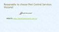 Pest Control Services Victoria - Pacific Pest Control PowerPoint PPT Presentation