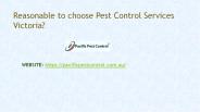 Pest Control Services Victoria - Pacific Pest Control