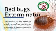 Bed Bug Exterminator in Orlando
