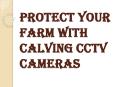 Advantages of Installing the Calving CCTV Cameras PowerPoint PPT Presentation