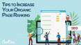 Tips To Increase Your Organic Page Ranking - CBX Studio PowerPoint PPT Presentation