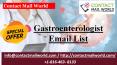 Gastroenterologist Email List PowerPoint PPT Presentation